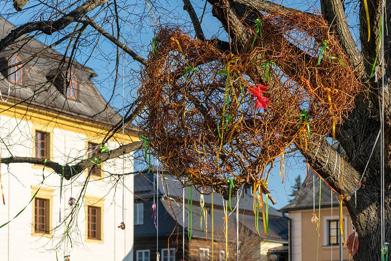 Borská „Smetanka“ vyzdobila korunu lípy.