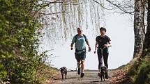 Ve Stráži pod Ralskem se konal orientační pochod se psy - Strážský dogtrek. Na trasu dlouhou 12 km se přihlásilo na dvě stovky účastníků.