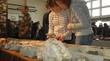 Setkání mineralogů se i letos těšilo hojné návštěvnosti. 