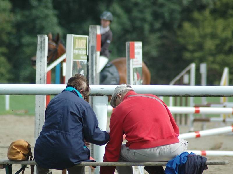 Haflinger Vrchovany 2014. Akce se konala pod malebnou zříceninou hradu Starý Bernštejn.