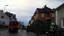Strom se zřítil na plot jednoho z rodinných domů v Mimoni.