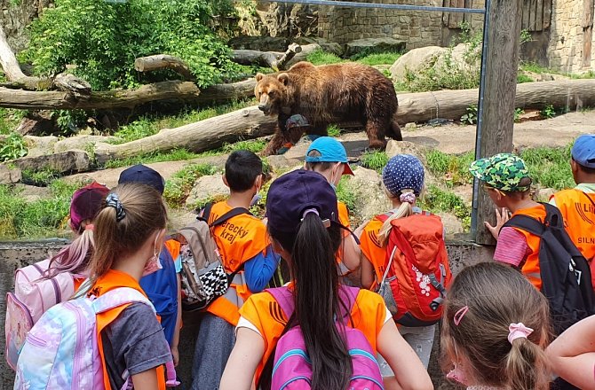 Školáky z Dubé zaujal hlavně medvěd.