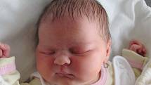 Mamince Věře Plačkové se ve středu 18. listopadu v 11:30 hodin narodila dcera Lily Plačková. Měřila 49 cm a vážila 3,43 kg.