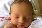 Rodičům Kláře Cruzové a Davidu Preislerovi z Jablonce nad Nisou se v úterý 19. května v 1:40 hodin narodil syn Michal Preisler. Měřil 49 cm a vážil 3,02 kg.