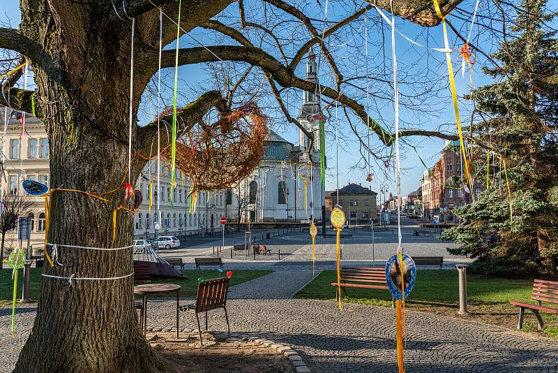 Borská „Smetanka“ vyzdobila korunu lípy.