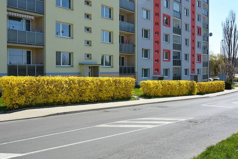 Jaro v České Lípě.