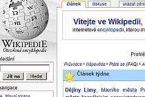 Česká Wikipedie byla založena v květnu roku 2002 a na její tvorbě se v současnosti podílí kolem 1000 autorů.