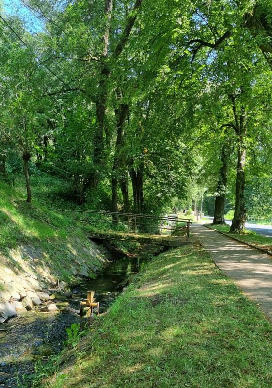 Nedamovská alej - Dubá, Českolipsko.