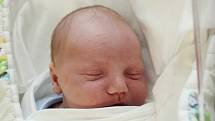Rodičům Michaele a Tomášovi Patrmanovým z Nového Boru se v neděli 3. října v 17:23 hodin narodil syn Filip Patrman. Měřil 54 cm a vážil 4,50 kg.