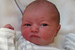 Mamince Janě Eisnerové z Nového Boru se 20. dubna ve 13:59 hodin narodil syn Filip Vokál. Měřil 48 cm a vážil 3,05 kg.
