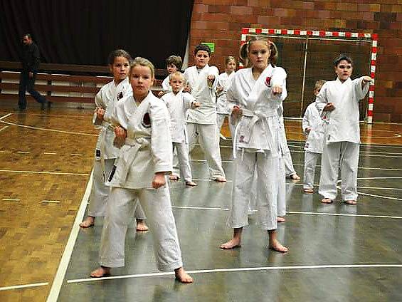 Sport Relax pořádal seminář s názvem Karate nás baví.