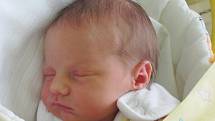 Mamince Barboře Raibrové z Jestřebí se v neděli 18. ledna v 16:52 hodin narodila dcera Sofie Raibrová. Měřila 49 cm a vážila 3,07 kg.
