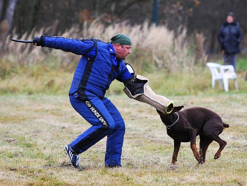 Atraktivní závod uspořádali již po jedenácté kynologové v Doksech.