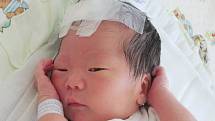 Mamince Battvyi Batdeleg ze Stráže pod Ralskem se v sobotu 29. června v 17:20 hodin narodil syn Tuguldur Khangaibaataz. Měřil 51 cm a vážil 3,24 kg.