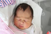 Rodičům Daniele Dostálové a Dominiku Husákovi z Kamenického Šenova se v úterý 5. listopadu ve 13:03 hodin narodila dcera Karolína Husáková. Měřila 49 cm a vážila 3,12 kg.