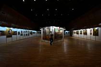 Výstava Magnum Pictura českolipského malíře Michala Janovského potrvá od 5. do 12. září. Vernisáž se uskuteční v pondělí 4. září.