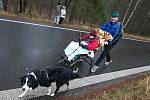 Letošního Novoročního běhu okolo Máchova jezera se zúčastnilo bezmála na sedm desítek závodníků.