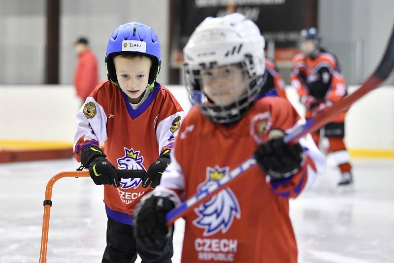 Týden hokeje přilákal do České Lípy 27 dětí.