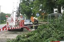 Popadané stromy likvidovali hasiči u silnice přes Oboru ještě v neděli odpoledne.