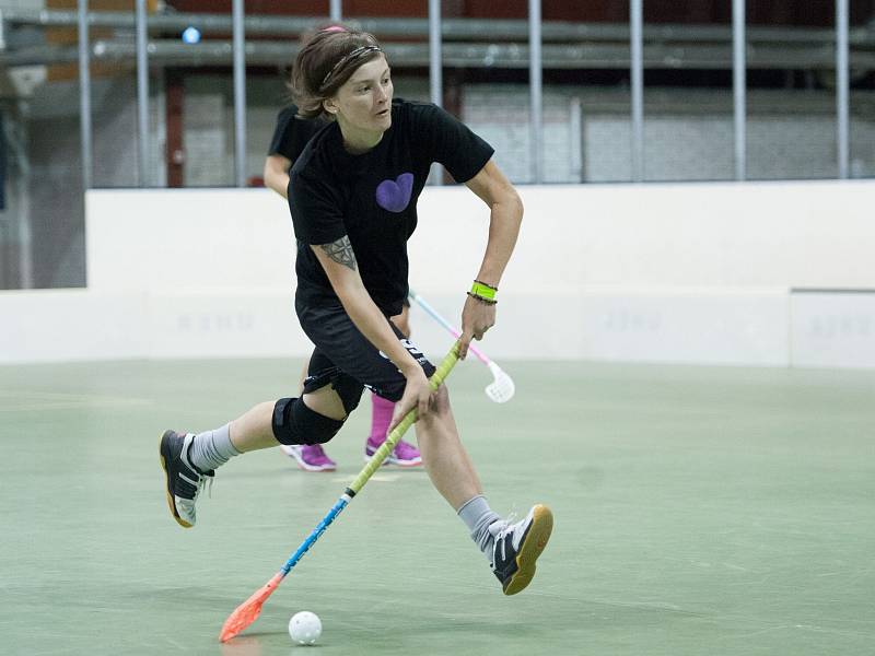 Už po jedenácté se v České Lípě konal florbalový turnaj Salming Floorball Games 2018.