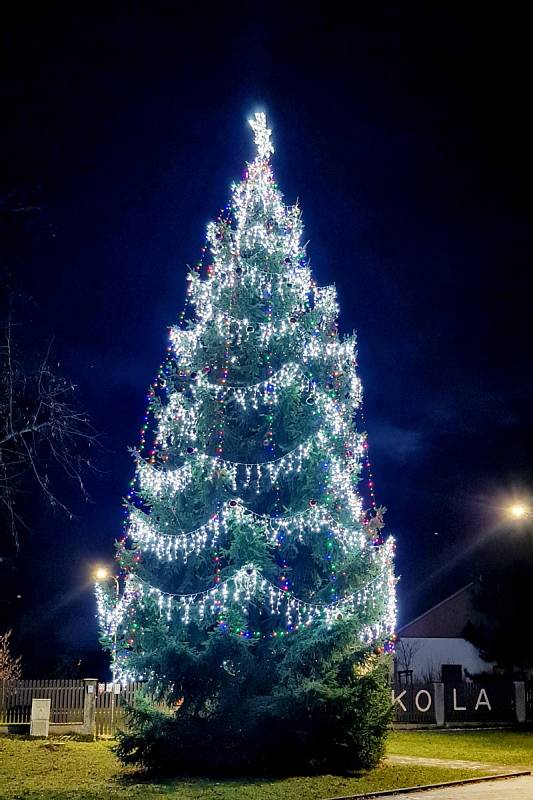 Vánoční strom v Ralsku