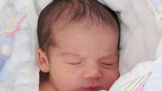 Mamince Lence Fabové z České Lípy se 28. března v 0:29 hod. narodil syn Dominik Fabo. Měřil 47 cm a vážil 3,04 kg.