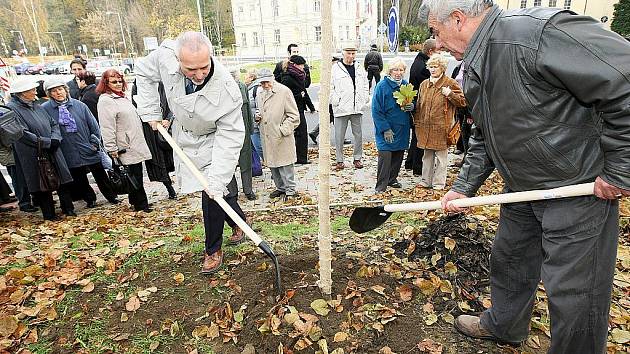 Vysazení nového stromu je každoroční součástí oslav státního svátku 28. října. 