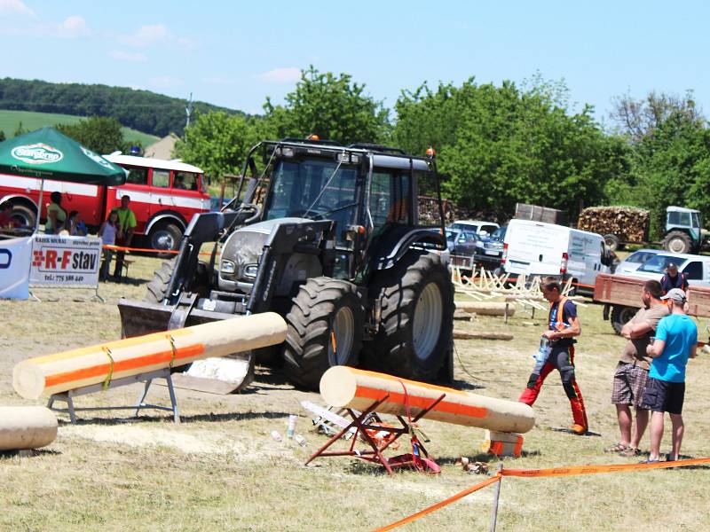 Představit práci dřevorubců je hlavním cílem pořadatelů Ruprechtovské pilky. Na letošním druhém ročníku změřilo síly dvaadvacet závodníků. Řezali, osekávali a skládali kmeny. Na programu bylo kromě jiného i kácení.