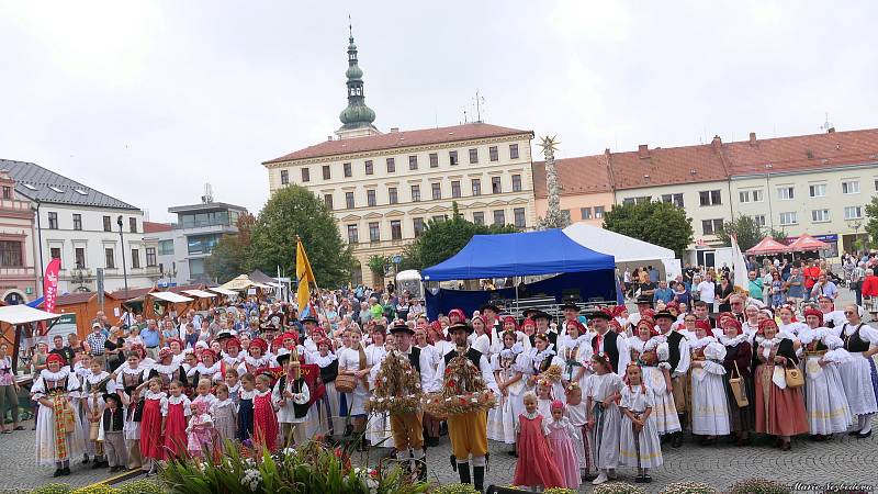 Jihomoravské dožínky se ve Vyškově konaly znovu po čtrnácti letech.