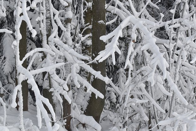 Ledový den: O víkendu klesnou teploty na Žďársku pod bod mrazu