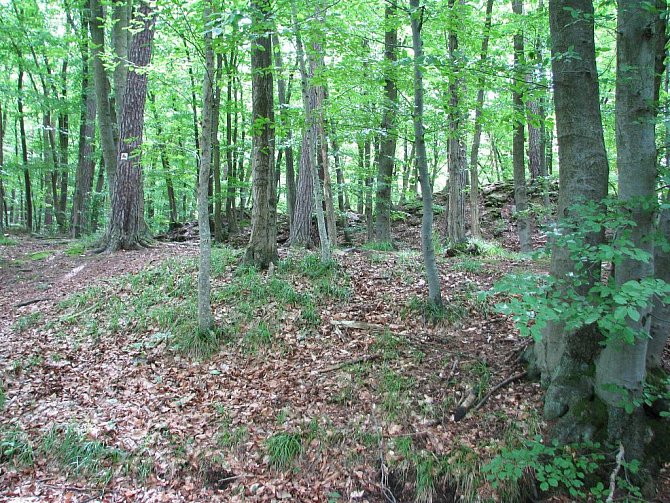 Zřícenina tajemného hradu Kuchlova se tyčí nad Malou Hanou v lese mezi Rychtářovem a Ruprechtovem. Vede k němu i cyklostezka.