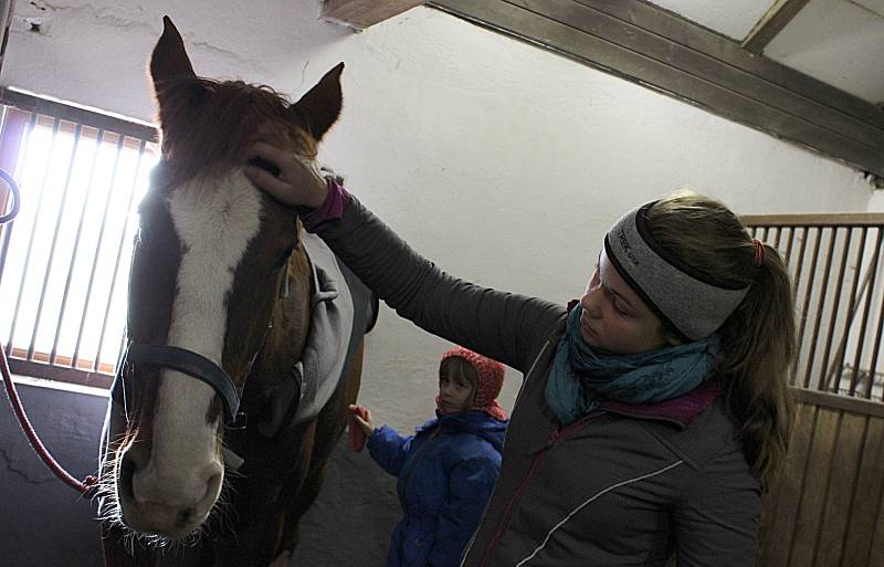 Vánoční nadílka ve stáji pořádaná vyškovským Sdružením Piafa nebyla jen o koních. Spoustu zábavy si při ní užily i děti.