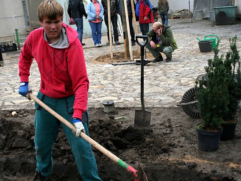 Budoucí zahradníci se v rámci soutěže Lipová ratolest pustili do úpravy plochy za Záložnou v Rousínově.