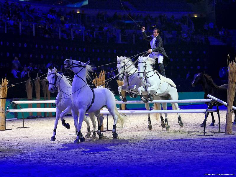 V Praze se představili nejlepší parkuroví jezdci a koně světa