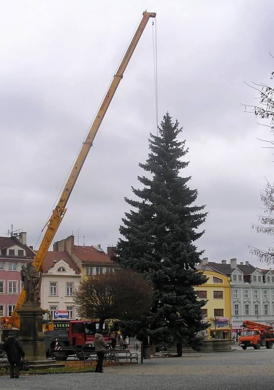 Vánoční strom na vyškovském Masarykově náměstí.