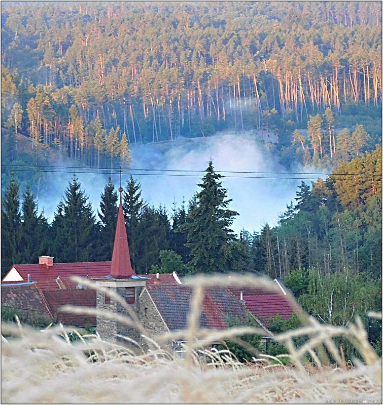 Příroda v okolí Vyškova a Drahanské vrchoviny na vrcholu léta.