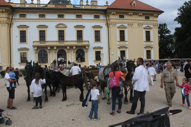 Rekonstrukci dobové bitvy u slavkovského zámku přihlíželo asi tisíc návštěvníků. Vojáci stříleli i z děl.