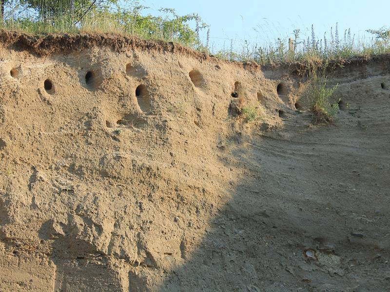 Těžba písku v Němčanech po 100 letech končí.