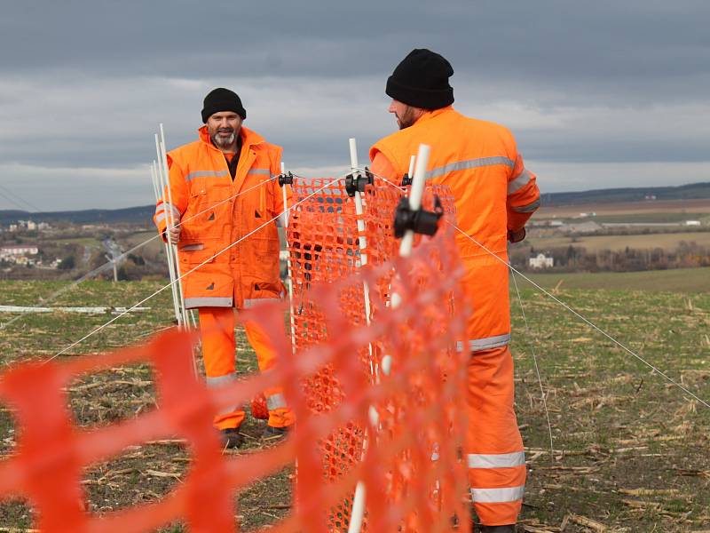 Přípravy na zimu – stavba sněhových zábran u silnice I/50.