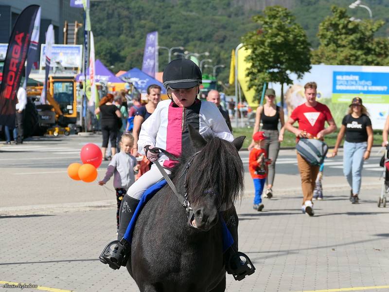 Ve dnech 5. až 8. září se na Brněnském výstavišti konal veletrh Animal Tech a současně Národní výstava hospodářských zvířat.