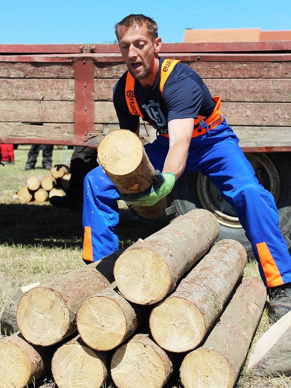 Představit práci dřevorubců je hlavním cílem pořadatelů Ruprechtovské pilky. Na letošním druhém ročníku změřilo síly dvaadvacet závodníků. Řezali, osekávali a skládali kmeny. Na programu bylo kromě jiného i kácení.