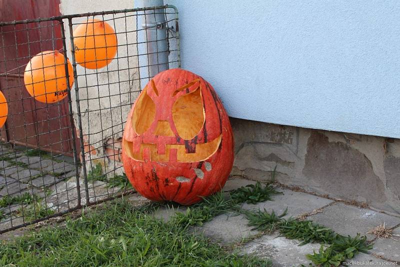 Předposlední srpnové úterý přineslo na Vyškovsko podzim.