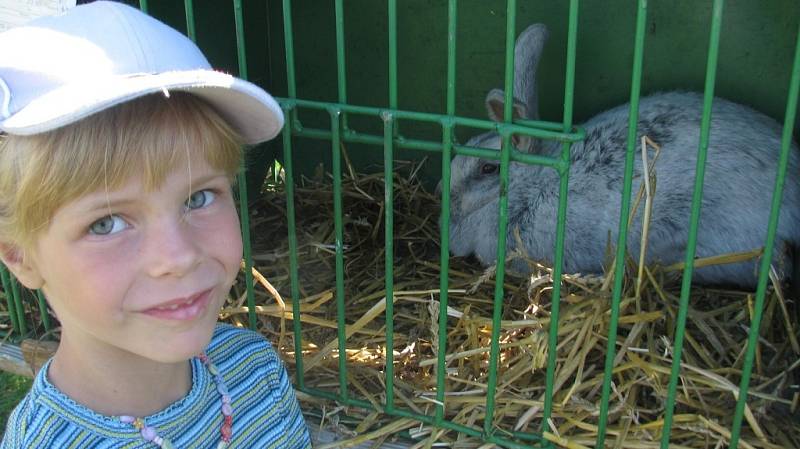 Bučovická zámecká zahrada je plná králíků, holubů a drůbeže.