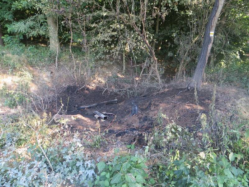 Policisté dopadli žháře z Brna, kterého obvinili z toho, že od roku 2012 na Vyškovsku zapaloval chaty, myslivecké posedy či kontejnery na odpad.