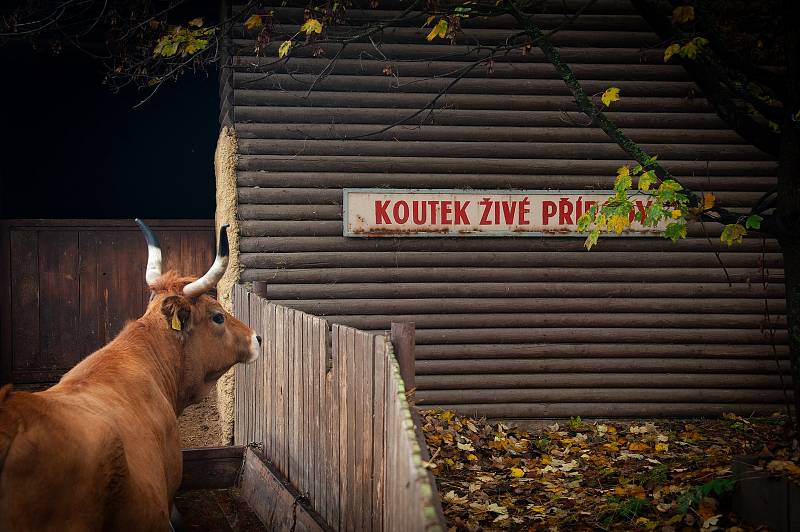 Vyškovská zoo je pro návštěvníky znovu uzavřená.