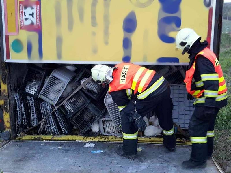 Kamion s přívěsem s bednami plnými králíků se v pondělí krátce po šesté hodině večer převrátil v bučovické místní části Marefy. 