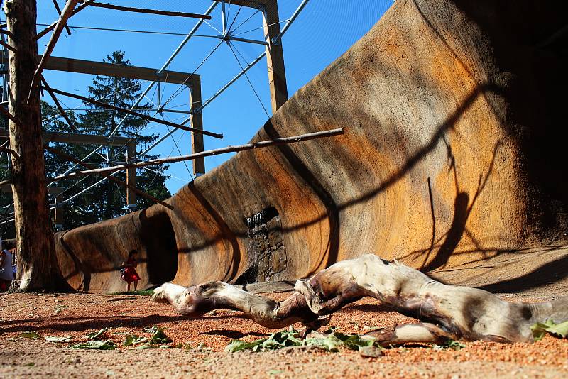 Pavilon Austrálie s trojicí klokanů a čtyřmi stovkami andulek je nově přístupný návštěvníkům vyškovského zooparku.