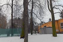 Šestnáct stromů v parku Smetanovy sady navržených ke kácení nakonec k zemi nepůjde. Zasloužilo se o to svými připomínkami sdružení Zelený Vyškov.