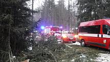 Tragicky skončila páteční práce dvou dělníků v hlubokých lesích v okolí Studnice na Vyškovsku. Klády je tam zavalily, jeden z nich nepřežil.