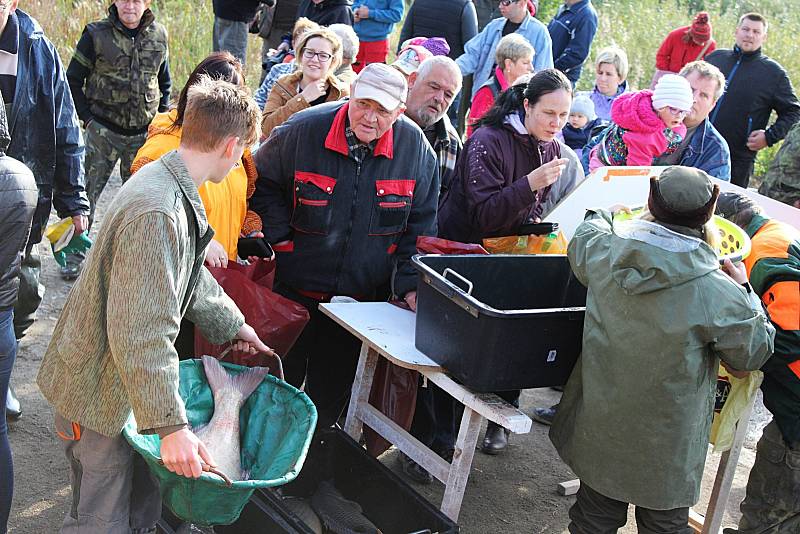 Spolek Horák se pustil do výlovu zadního pavlovického rybníka po roce a půl. Příchozí obdivovali mnohakilové kusy kaprů i dalších druhů ryb.